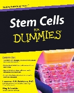 Stem cells for dummies