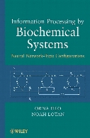 Information processing by biochemical systems : neural network-type configurations