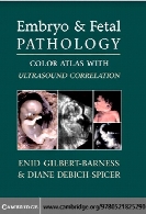 Embryo and fetal pathology : color atlas with ultrasound correlation