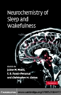 Neurochemistry of sleep and wakefulness