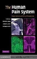 The human pain system : experimental and clinical perspectives
