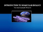 Introduction to molecular biology