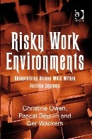 Risky work environments : reappraising human work within fallible systems
