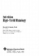 High-yield histology