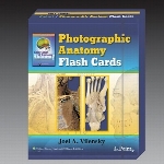 Rohen's photographic anatomy flash cards