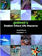 Grzimek's student animal life resource. Amphibians