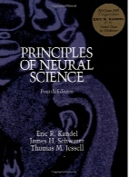 Principles of neural science,4th ed.