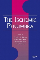 The ischemic penumbra