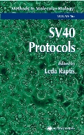 SV40 protocols