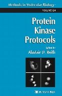 Protein kinase protocols
