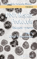 DNA repair protocols : eukaryotic systems