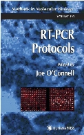 RT-PCR protocols