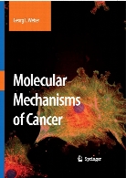 Molecular mechanisms of cancer