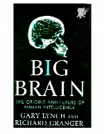 Big brain : the future of human intelligence