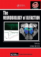 The neurobiology of olfaction