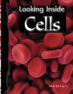 Looking inside cells