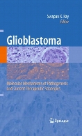 Glioblastoma : Molecular Mechanisms of Pathogenesis and Current Therapeutic Strategies