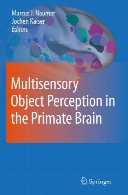 Multisensory object perception in the primate brain