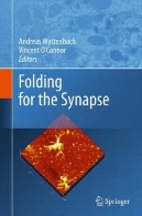 Folding for the synapse
