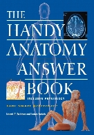 The handy anatomy answer book