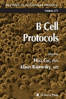 B cell protocols