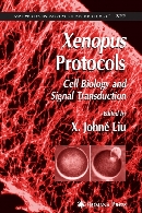Xenopus protocols : cell biology and signal transduction