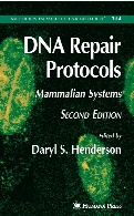 DNA repair protocols : mammalian systems
