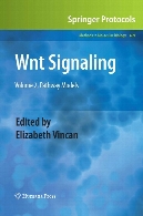 Wnt signaling 2 Pathway models