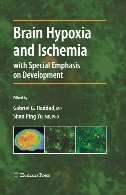 Brain hypoxia and ischemia : with special emphasis on development