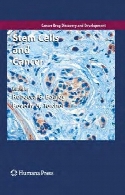 Stem cells and cancer