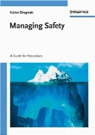 Managing safety : a guide for executives
