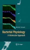 Bacterial physiology : a molecular approach
