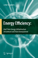 Energy efficiency : real time energy infrastructure investment and risk management