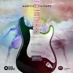 لوپ گیتارBlack Octopus Sound Ambient Guitars WAV