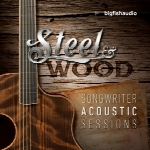 بانک صدایBig Fish Audio Steel and Wood Songwriter Acoustic Sessions