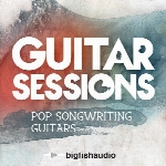 Dieguis Productions Guitar Sessions Pop Songwriting Guitars