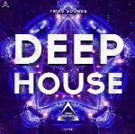 لوپ هاووسTriad Sounds Deep House WAV MiDi