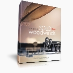 وی اس تی بادی چوبیAuddict Master Solo Woodwinds Oboe
