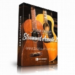 وی اس تی گیتارNative Instruments Session Guitarist Strummed Acoustic 2