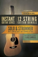 وی اس تی گیتار آکوستیکDio Instant Guitar Series 12-String Guitar Bundle