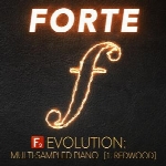 وی اس تی پیانوF9 Audio F9 Forte Evolution: Redwood Club Piano