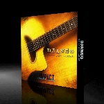 Impact Soundworks Django Gypsy Jazz Guitar