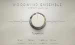 وی اس تیNative Instruments Symphony Essentials Woodwind Ensemble