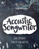 بانک صدای گیتارDieguis Productions Acoustic Songwriter
