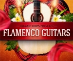 لوپ های گیتار فلامنکوOrganic Loops Flamenco Guitars