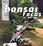 Bonsai Focus 2018-03-28