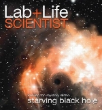 Lab Life Scientist - December 2016 - January 2017