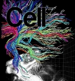 Cell - 16 June 2016