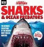 World of Animals - Book of Sharks and Ocean Predators