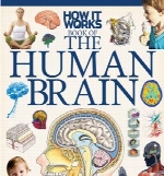 How It Works - The Human Brain 1st Edition